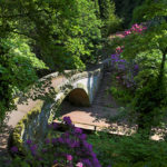 Jesmond Dene